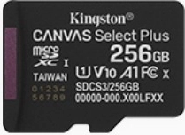 Karta pamięci microSD 256GB Canvas Select+