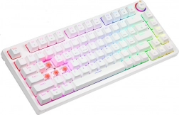 Hvid mekanisk RGB-tastatur PHENIX WHITE Gateron Red