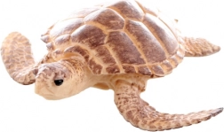 Plastic Sea Turtle Figurine 9 cm