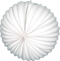 Witte ronde lampion 25 cm
