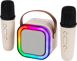 Enceinte karaoké Bluetooth avec éclairage RGB