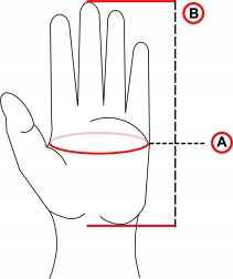 Guanti sportivi invernali touch – imbottiti e impermeabili, taglia L