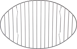 Grille en acier inoxydable pour plat à rôtir 32,5 × 21 cm ORION