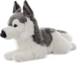 Husky di peluche 43 cm