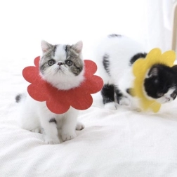 Miękki pooperacyjny ochronny kołnierz dla zwierząt domowych, czerwony – rozmiar L