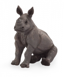 Mojo mladunče nosoroga sjedeće