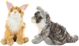 Pluche Maine Coon kat 37 cm eco‑friendly