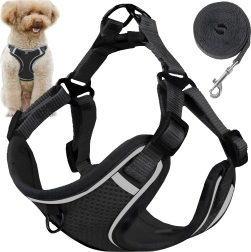 No-pull safety harness for small dogs and cats with 150 cm leash, size M