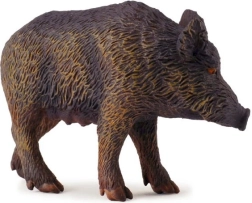 Wild zwijn – zeug COLLECTA