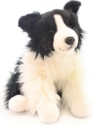Border Collie di peluche 35 cm
