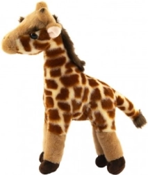Plush Giraffe 31 cm