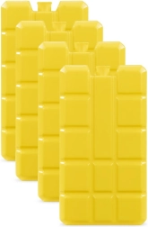 Ghiaccioli per frigorifero portatile