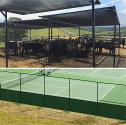 Zasenčilna in zasebnostna ograjna mreža 1,5 × 25 m, zelena, 60 g/m²