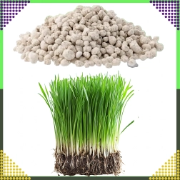 Wieloskładnikowy nawóz do trawnika NPK 20-8-10 granulat 10 kg