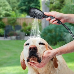Laveur portable pour chiens et chats 8 l avec tête de brosse-douche