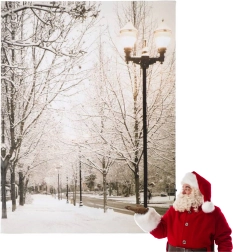 Božični svetlobni motiv 16 LED 40 × 30 cm