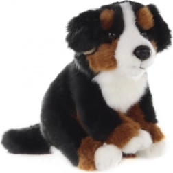 Cane da montagna bernese di peluche 16 cm