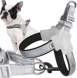No-pull reflective harness for small dogs and cats, size M