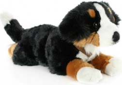Plush Bernese Mountain Dog 65 cm
