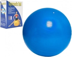 Exercise Ball 65 cm for Exercise and Rehabilitation