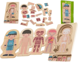 Wooden Layered Human Body Puzzle Montessori