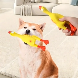 Squeaky rubber chicken for dogs 22 cm