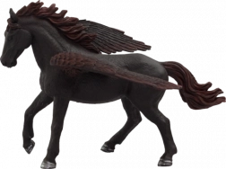 Mojo Pegasus Black