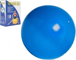 Gym ball 75 cm for rehabilitation and home exercise