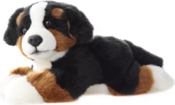 Cane da montagna bernese di peluche 25 cm