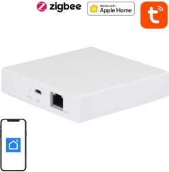 Gateway intelligente Matter e Zigbee TUYA NEO