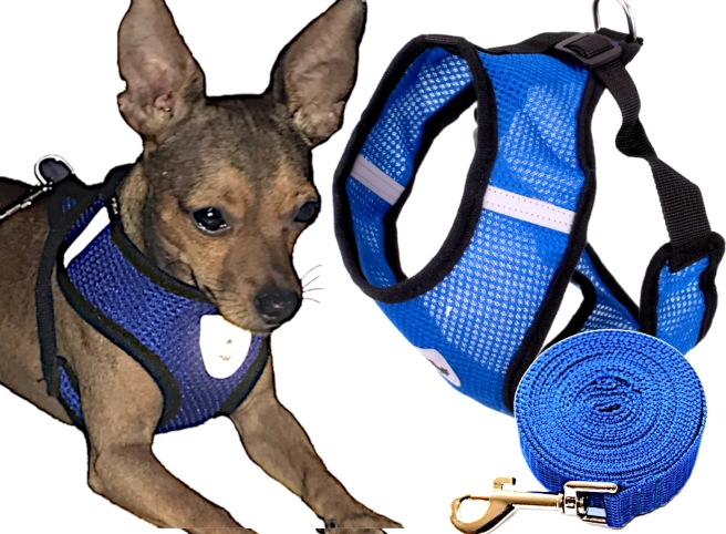 Pettorine per cani senza pressione con guinzaglio taglia M – Blu