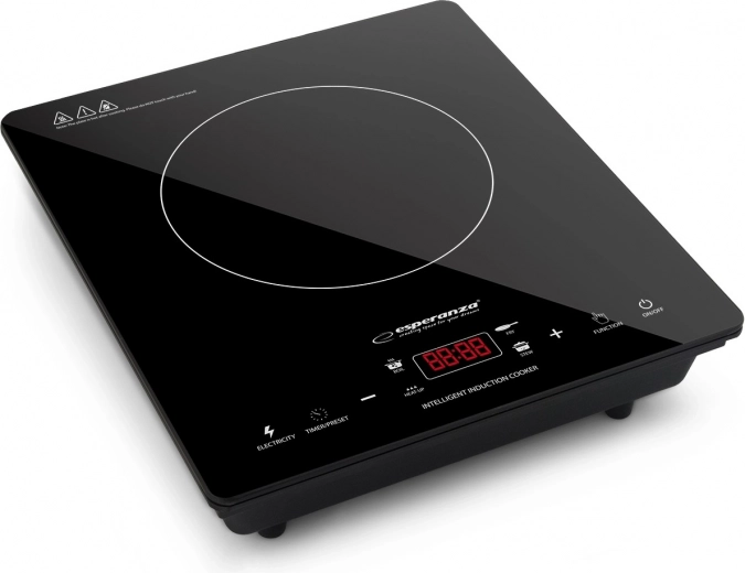 Vesuvius Induction Cooker