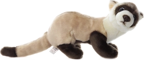 Furetto di peluche 23 cm