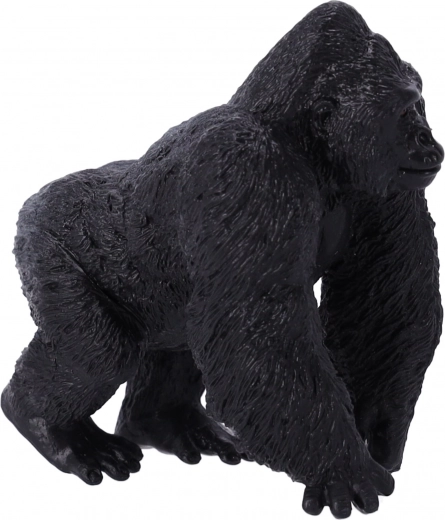 Ideale per l’apprendimento e la collezione