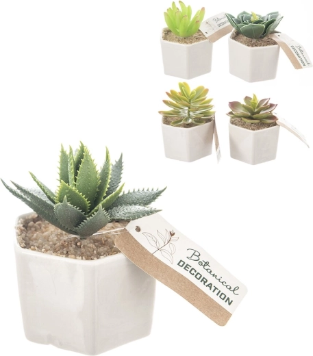 Decorative plant in a ceramic pot 6 × 6 × 10 cm (5 variants)