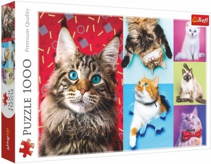 Puzzle Boldog macskák 1000 darab 68,3x48 cm dobozban 40x27x6 cm