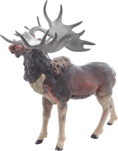 Posizione stabile e dimensioni sicure