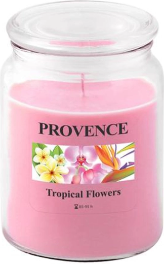 Scented candle in glass PROVENCE tropical flowers 95 hours