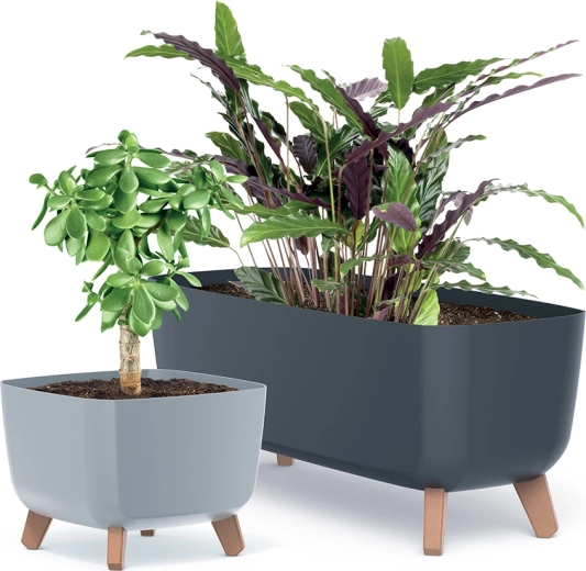 Design minimaliste pour chaque espace