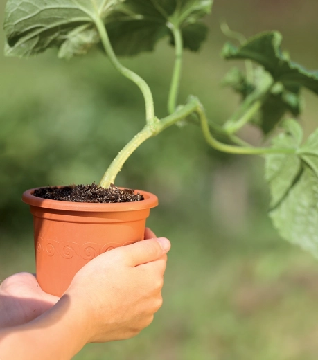 Matériau léger et résistant