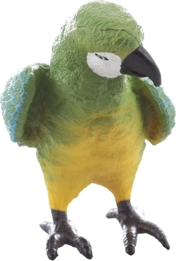 Ideale per apprendimento e collezione