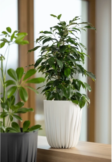 Lightweight, durable, and outdoor-ready