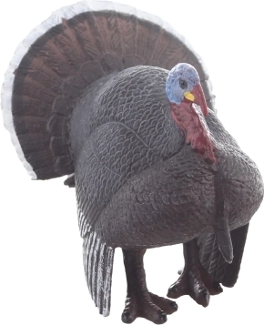 Dettagli realistici per esperienze autentiche