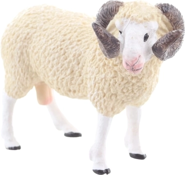 Ideal size for small hands