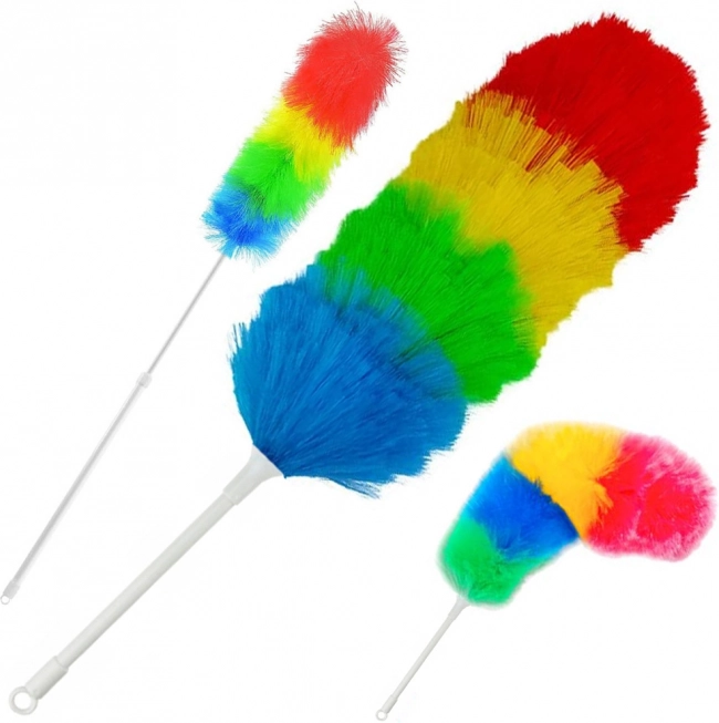 Telescopic Dust Brush