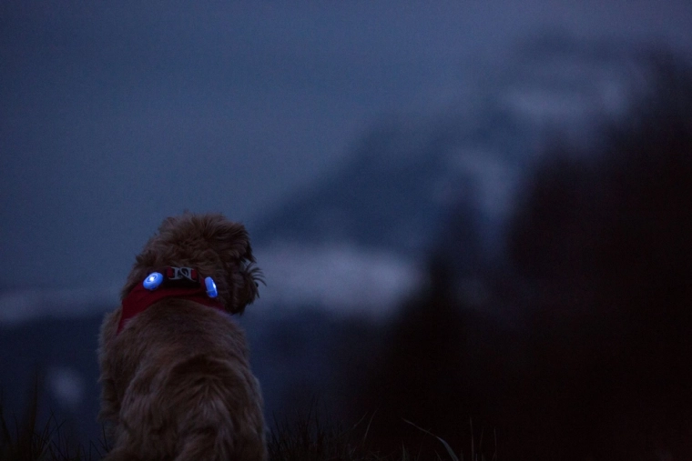 Bright LEDs for maximum visibility