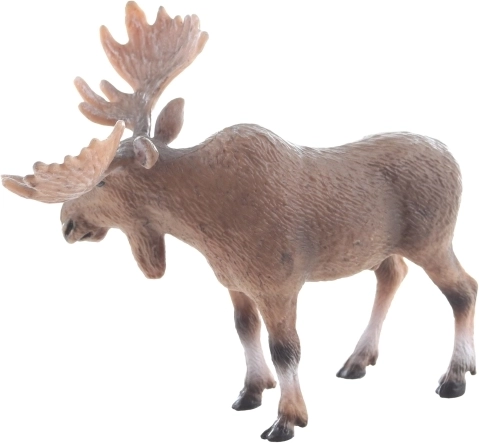 Dimensioni ideali per le piccole mani