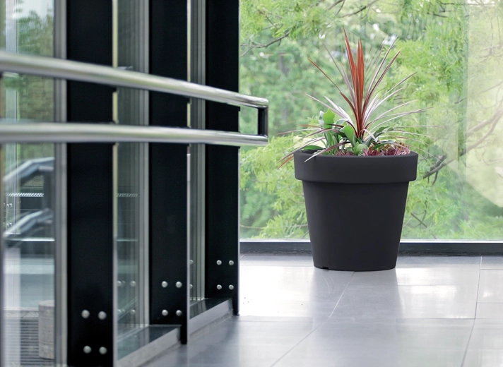 Grand volume pour une croissance saine des plantes