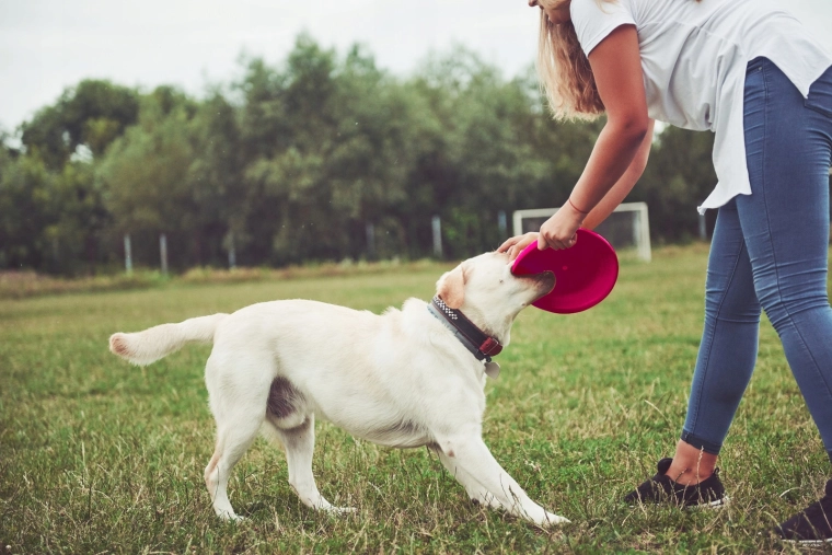Alta visibilità nel parco e in volo