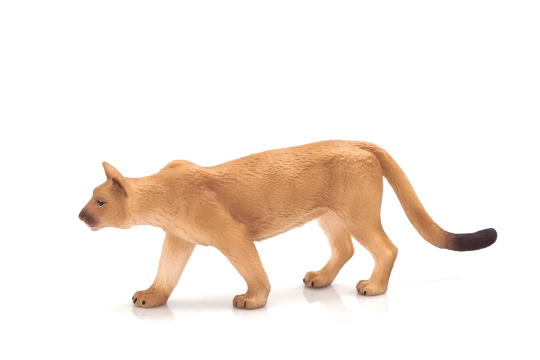 Mojo statuina puma americana – grande